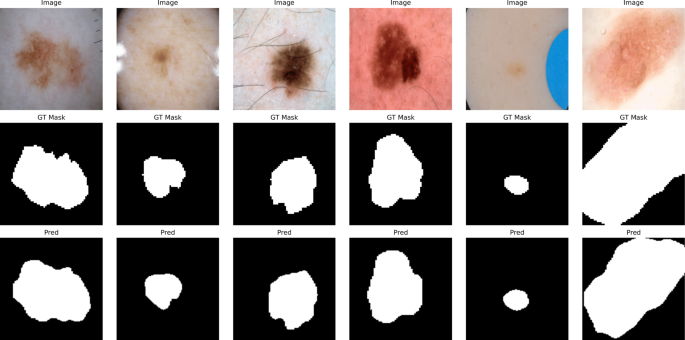 Segmentation Results Grid 2